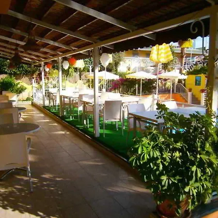 Belturk 3*